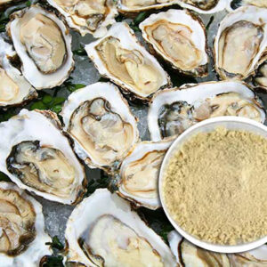 Bột thịt hàu
