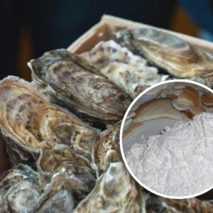 Bột vỏ hàu